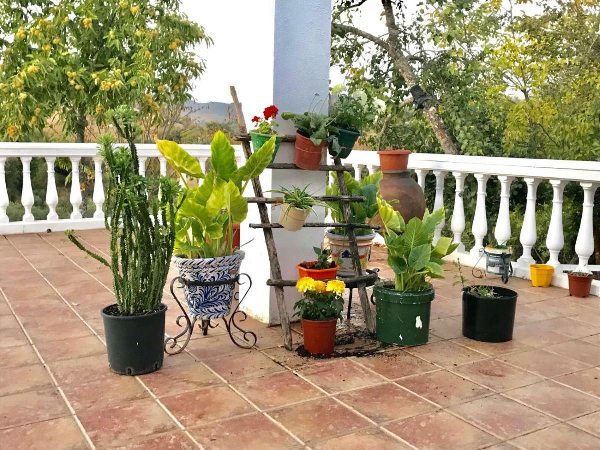 Casa Rural En Constantina Kültér fotó